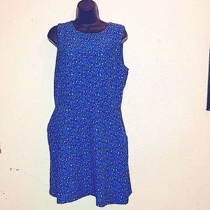 GAP Shift Dress w/Pockets Sz 12 Petite